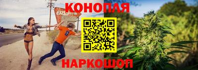 молекула духа Вышний Волочёк